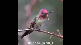 VID 20141017 WA0025