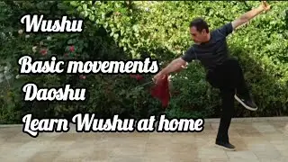 اموزش  پایه دائوشو در خانه برای مبتدیان Teaching basic Dao Shu movements for beginners at home