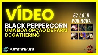 MINHA ROTA&Ccedil;&Atilde;O DE FARM BLACK PEPPERCORN NO GUILD WARS 2 - #guildwars2 #gw2 #tutoriais