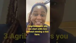 3 Agribusiness you can start with rice without owning a rice farm.#rice #smallbusiness #farmingvlogs