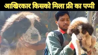 आखिरकार किसकी चमकी किस्मत || Top Quality Bhotia Dog || @pahadibhaidhanariwale | देवभूमि उत्तराखंड |
