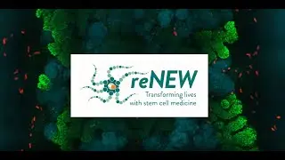 reNEW - The Novo Nordisk Foundation Center for Stem Cell Medicine