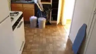 Very Spacious Irving Park 1 Bed Room For Rent / Heat Included - Chicago, IL 60641