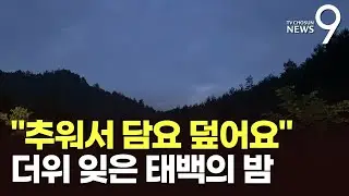 담요 두르고 모닥불 피고…열대야 없는 태백의 밤 풍경 [뉴스9]