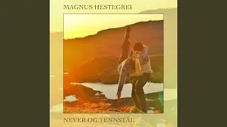 Never og tennstål