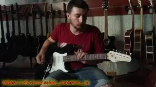 ( 017 ) Обзор на  MAXWOOD MES 2501 от Салона Гитар и Комплектующих Maestro