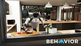 Introducing the First BEHAVIOR Challenge