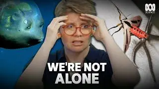 These Five Animals Are 100% Aliens