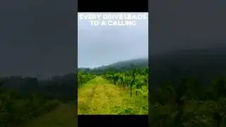 I&rsquo;m Calling You | Forest Drive POV |Dashcam Driver x Elyanna 🌿🚘
