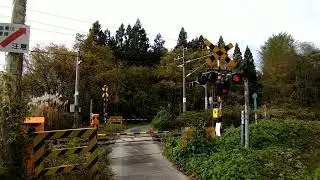 奥羽本線 入生田踏切【踏切】