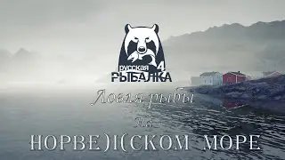 Норвежское море. Русская рыбалка 4 ( половим... )