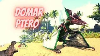 Como domar Ptero - Ark Survival Evolved