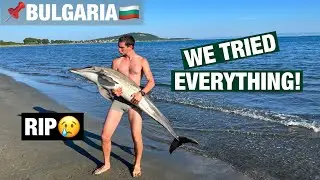 HOW TO HELP A BEACHED DOLPHIN? | Hitchhiking Diary Ep.19 🇧🇬 (2/2)
