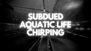 SALTY SHALLOWS AQUADOME | ACOUSTIC GAMEPLAY LOOP | ROCKET LEAGUE
