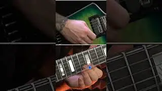 The 