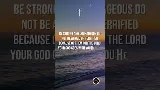 This Bible Verse Will Change Your Day!