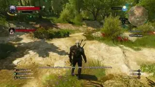 The Witcher 3 Blood and Wine - Big Game Hunter: Giant Centipede Fight & Count Beledal Dialogue Tree