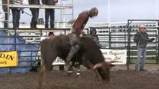 Kyle Brown in the Jr. Bulls in Coronation (PBR)