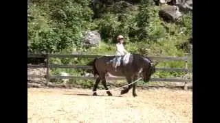 Kinderreitstunde in Tweng mit unseren Noriker Pferden