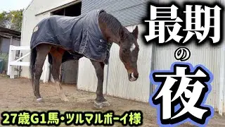 【最期の夜の厩舎】ツルマルボーイ号と過ごした最期の一晩、厩舎で何が起こっていたのか、シモベは何を思いツルマルボーイ様と過ごしてたのか。全て伝えます。