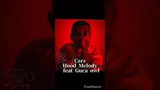［おすすめ日本語ラップ］carz / Hood Melody feat Guca owl