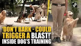 Not to Bark when you found any explosive! Special training to Dogs by Delhi Police ahead of I-Day