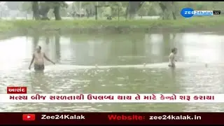 Fishing business sees boom in Gujarat's Anand!