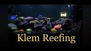 Klem's 2yr Update 350 gallon Reef Tank w equipment room.