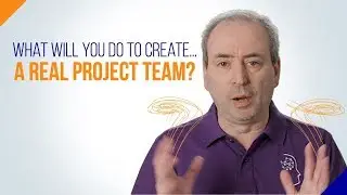Real Project Team: What Will You Do to Create One?