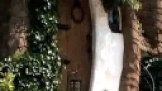 Storybook Cottage Inn and Weddings Tour