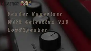 Fender Vaporizer Celestion V30 Fender Squier Classic Vibe Telecaster