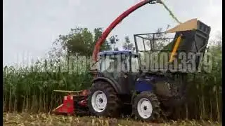 Maize Forage Harvesting Machine Self-propelled Corn Silage Harvester