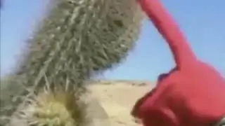 Chilean puppet touches Cactus meme