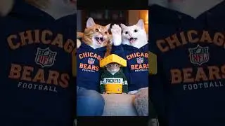 🐱 Nick & Nora Celebrate the Bears TD 🏈 HD #catparodies #funnycatvideos #shorts