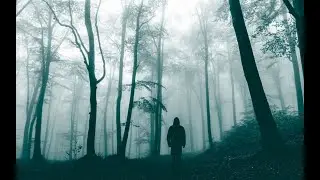 Dark music, black metal