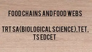 Food chains and Food webs ||TRT SA(Biological science)||TET ||TS EDCET