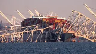 Aftermath of the Baltimore Bridge Collapse