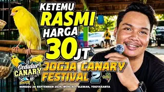 VLOG GANTANGAN‼️Ketemu RASMI harga 30JUTA di Gelaran JOGJA CANARY FESTIVAL 2...
