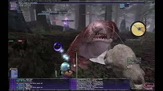HorizonXI - ZM5 Doomed Pilgrims - 69 BST/WHM Solo