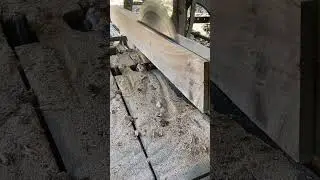 Circular Sawmill