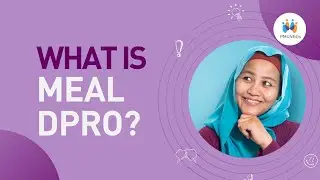 MEAL DPro: A Guide for Project Success