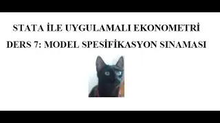 STATA İLE UYGULAMALI EKONOMETRİ_ MODEL SPESİFİKASYON SINAMASI