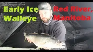 Early Ice Walleye on the Red River - TNW