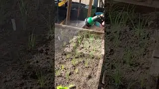Good garden nozzle for cheap.