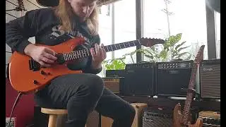 Rock/Metal Clip of a Tom Anderson Angel (Mango)!