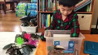 Unbox Mega Ocean Tub 45 pieces of Animal Planet 🐳🦈🐙🐬🐋🐢 #oceananimals #whale #shark #octopus