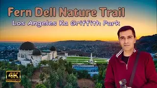 Fern Dell Nature Trail of Griffith Park, Los Angeles, @ArmaniDiary