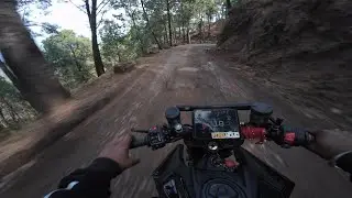 2025 KM Duke 250 Top Speed Ride Review |The Sophisticated Beast