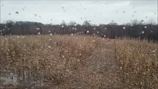 Deer hunting in bad weather does it really pay??
