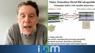 Andrew Millis - Twisted Transition Metal Dicalcogenides: Tests of Quantum Embedding and Theories